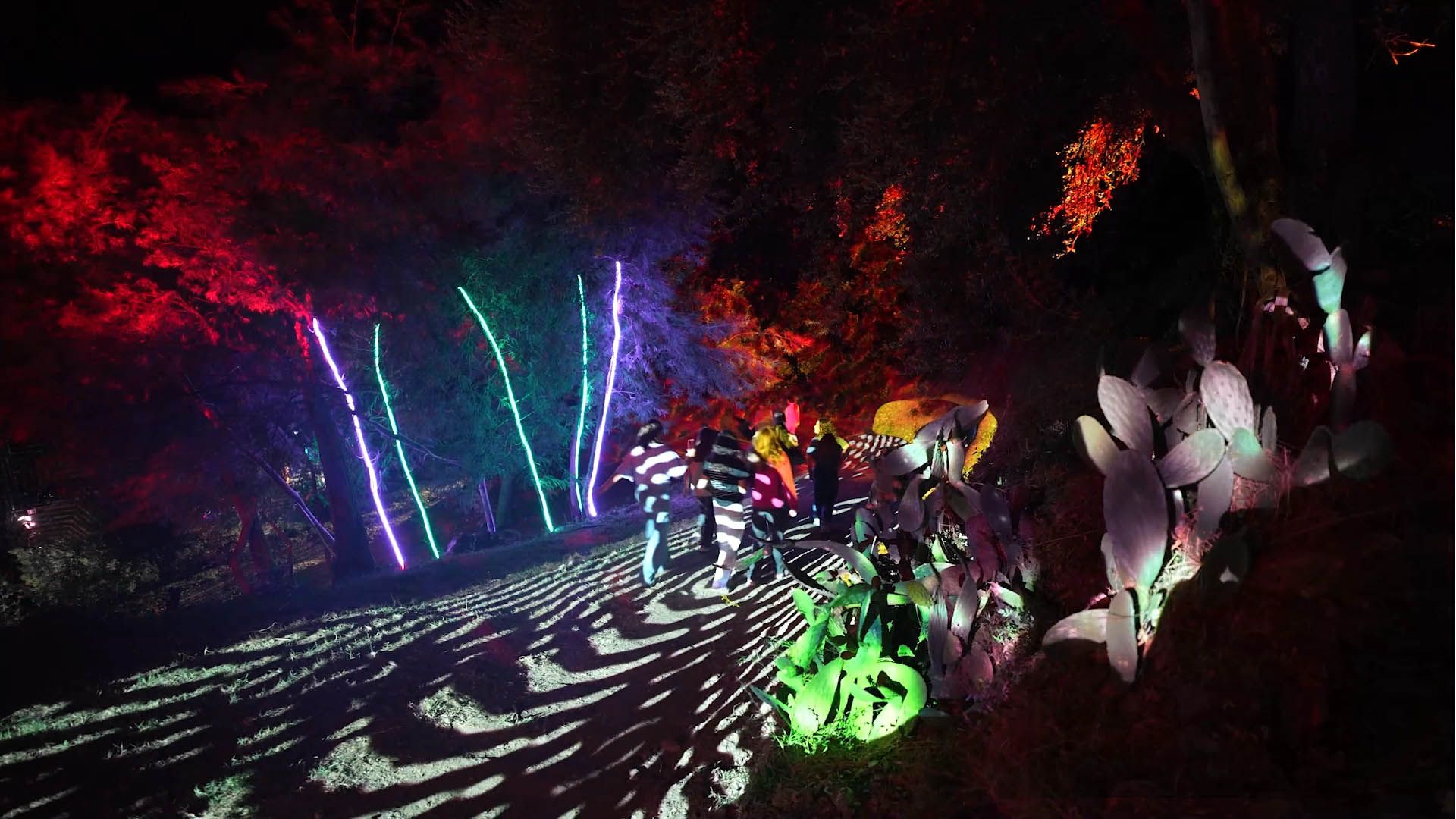 MARANA.GOLO ARTE FESTIVAL - LUX IN SITU